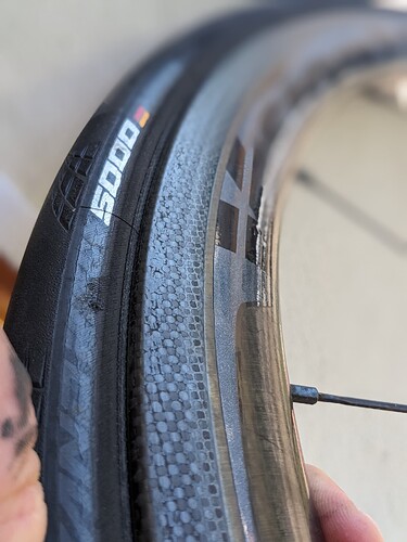 PXL_20250501_074254671.PORTRAIT